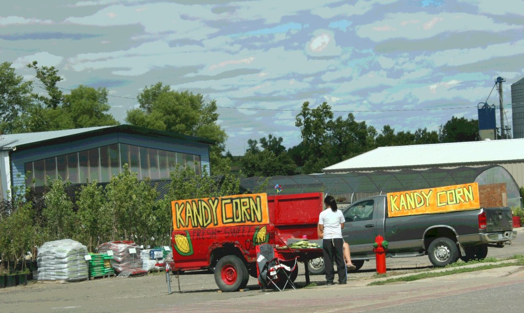Kandy corn for sale in Slayton