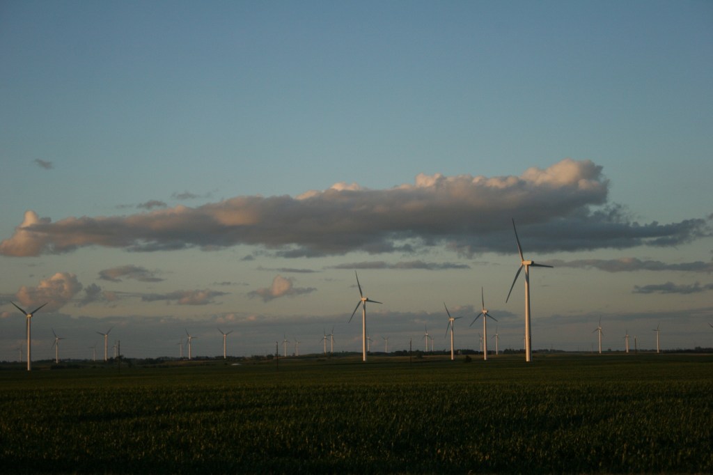 Hundreds of windmills now define this region of southwestern Minnesota.