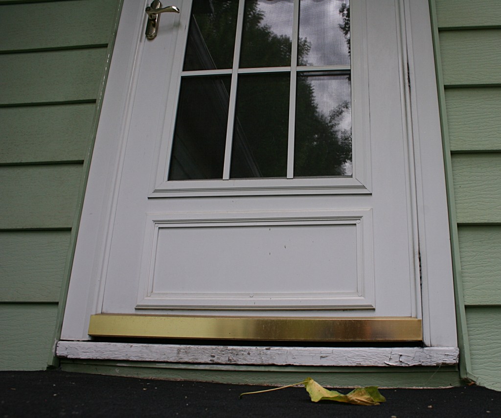 The first maple leaf to fall on my back doorstep.