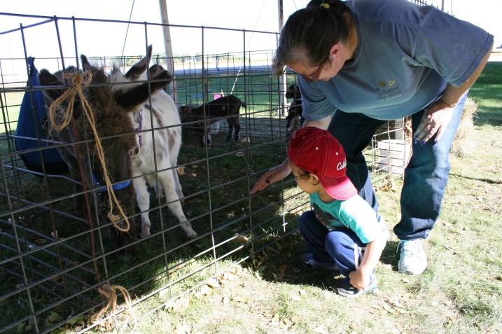 And this little guy loved the miniature donkeys.
