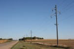Harvest time, north of&nbsp;Lamberton