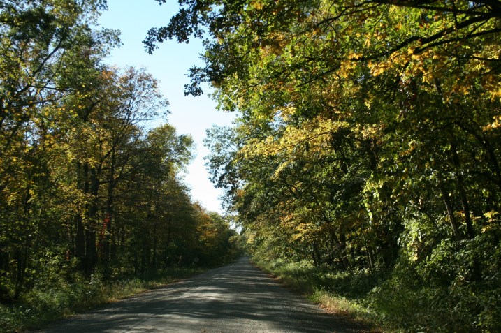 The road running east and west past the park.