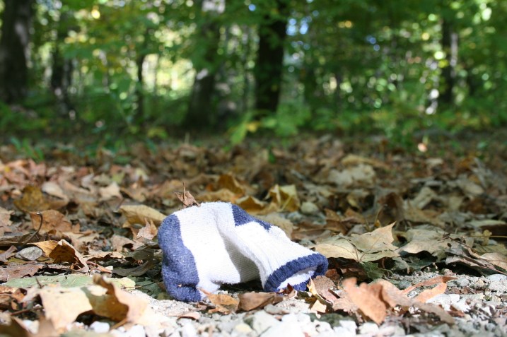 A baby's sock lost along a path at Nerstrand Big Woods State Park in rural rice County Minnesota.