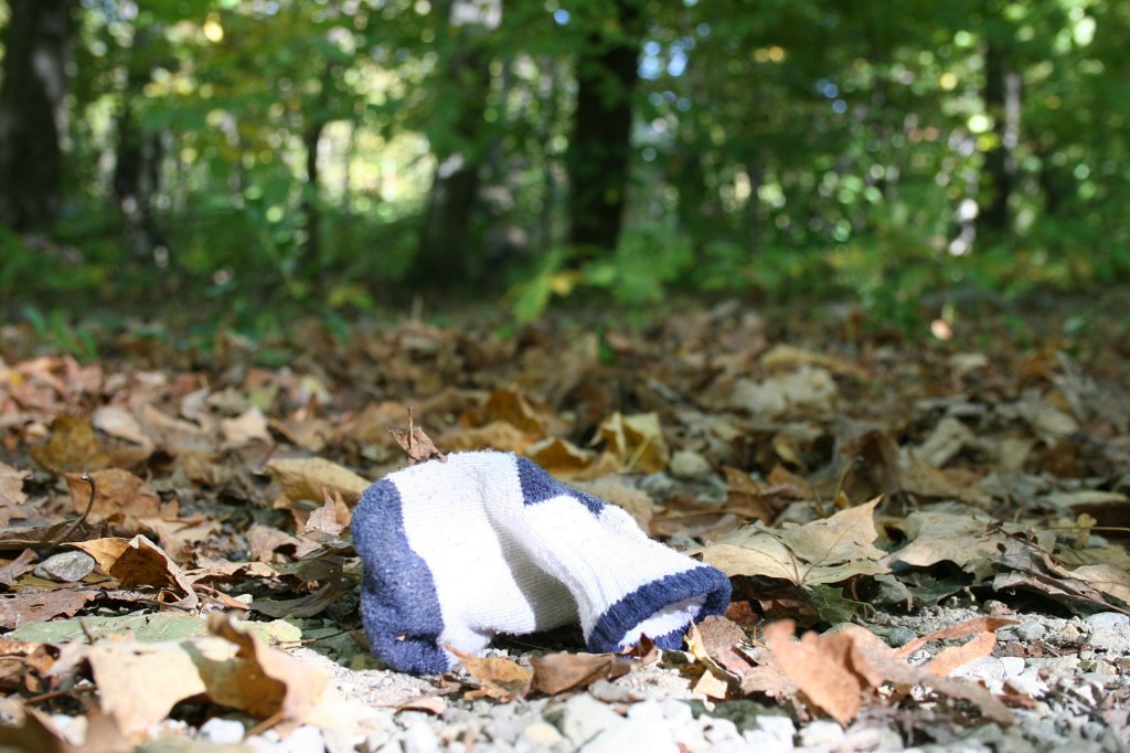 A baby's sock lost along a path at Nerstrand Big Woods State Park in rural rice County Minnesota.