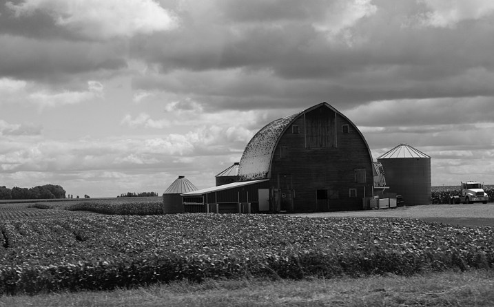 Rural, barn and bins