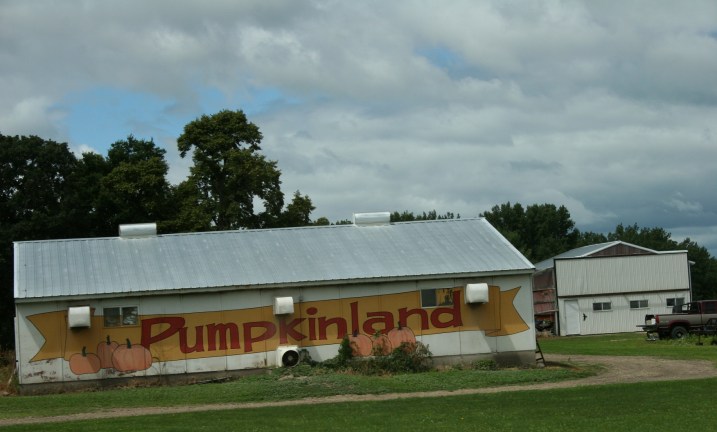 Pumpkinland near Vernon Center.