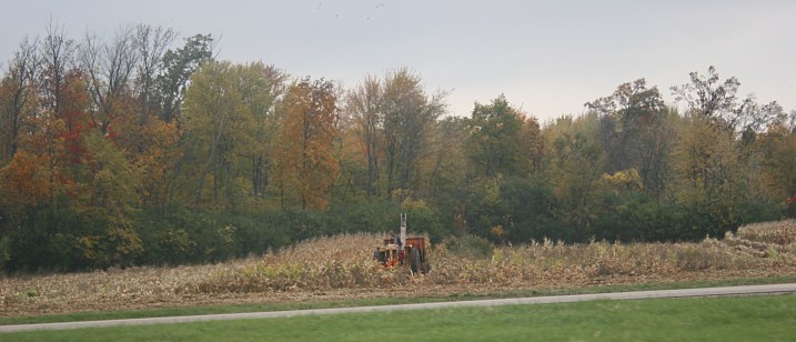 Back in the day, picking corn
