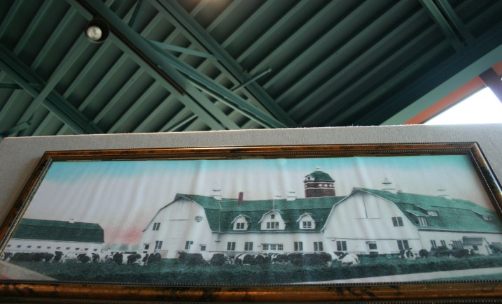 Photos of some spectacular Steele County barns are showcased.