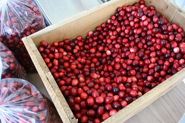 Beautiful fresh cranberries for sale.