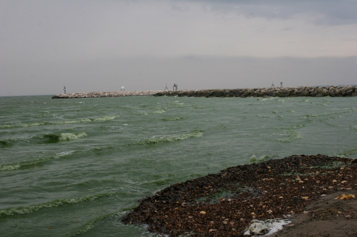 Just another view of the lake and the area where boats slip into shore.