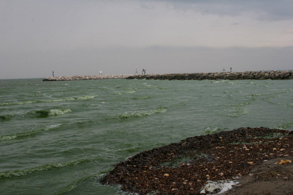 Just another view of the lake and the area where boats slip into shore.