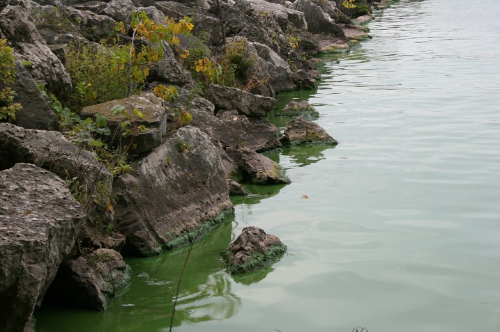 A close-up of the lake. No photo editing of the blue-green color.