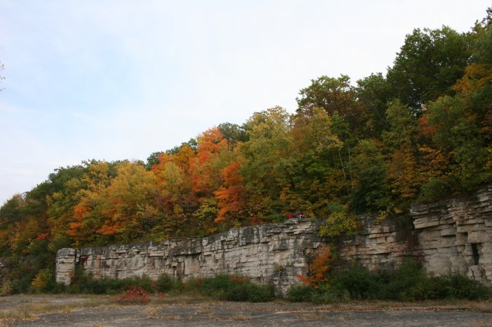 Old limestone quarry walls below a hillside of trees.
