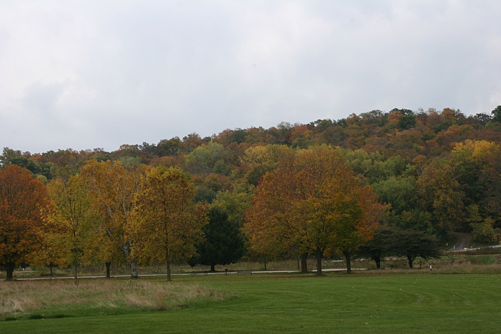 A scenic view shot from near the lake.