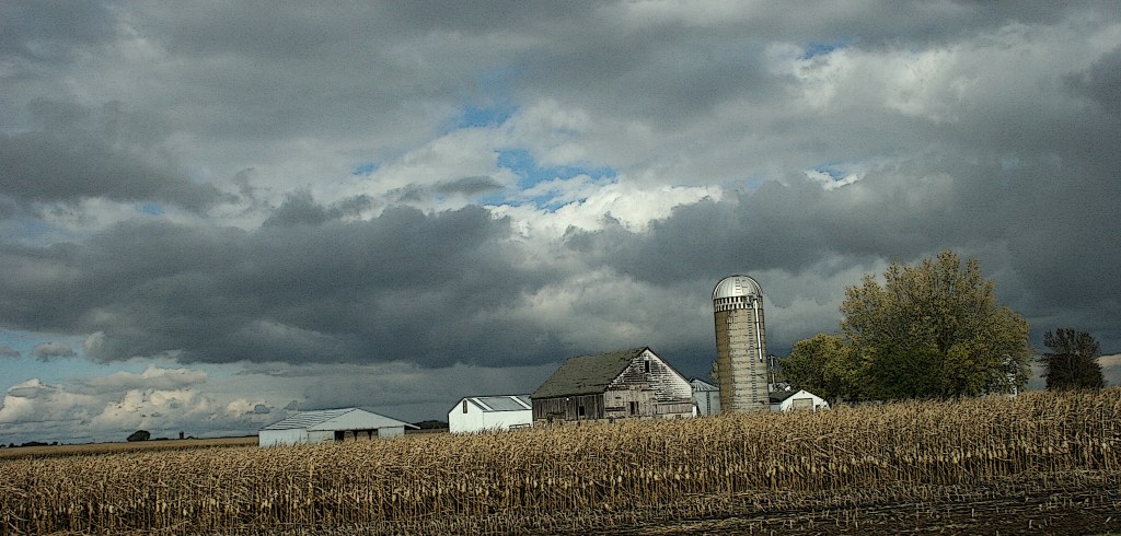 Noticing the geometry in these buildings clustered on a farm site.