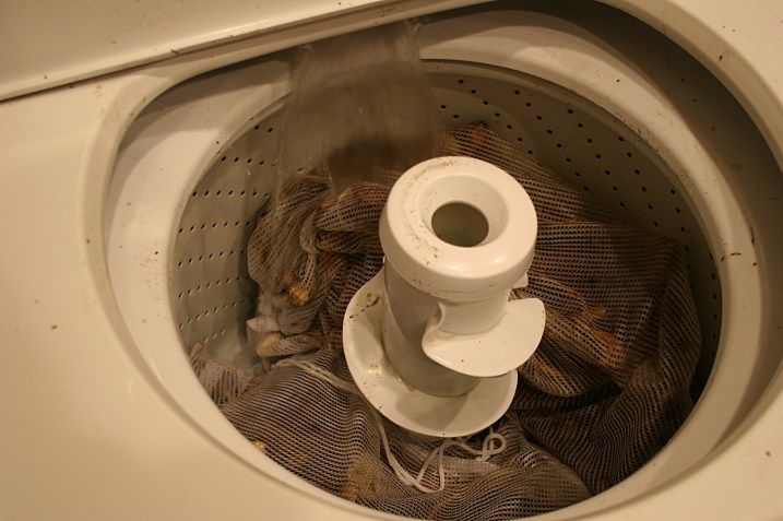 After the initial washing of the roots, the stems are trimmed away and the horseradish goes into a laundry bag for washing in the washing machine.