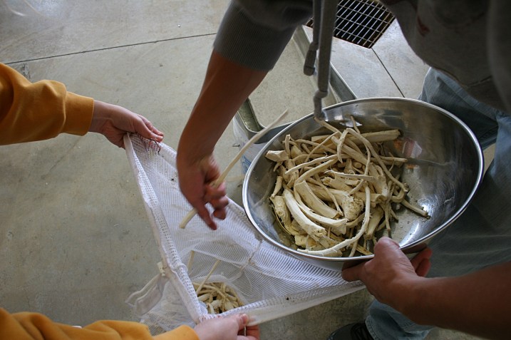 Once peeled, the horseradish is dumped back into a laundry bag for a second wash in the washing machine. Do NOT add detergent.