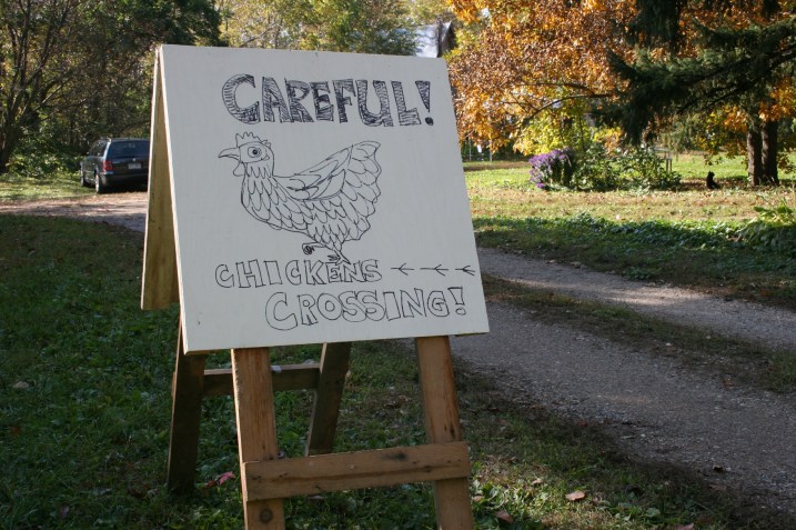 A sign advises visitors of chickens on the farm.