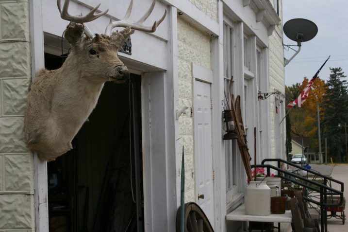 I was a bit creeped out when I spotted this deer head on the garage next to Don't main shop last fall. Minnesota Prairie Roots file photo.