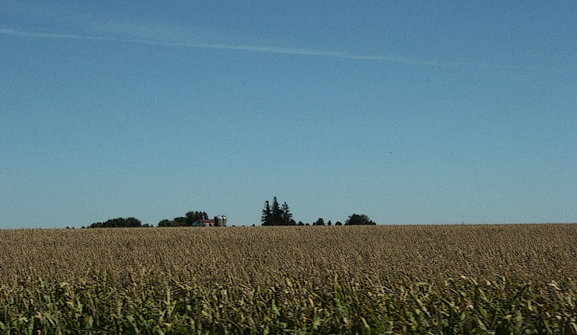 Rural, farm behind corn field