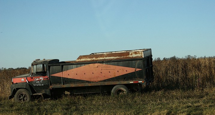 A vintage grain truck rolled out of storage and parked along side a southeastern Minnesota field.
