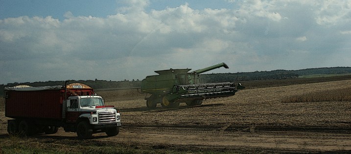 Bringing in the crop along Wisconsin State Highway 21.