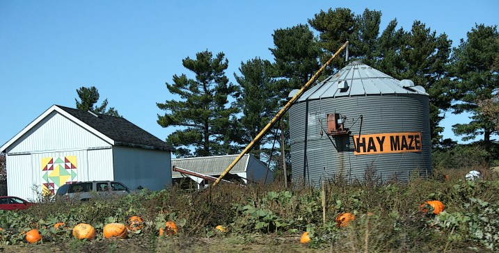 Lots of pumpkins harvested also and for sale, these along Wisconsin State Highway 21.