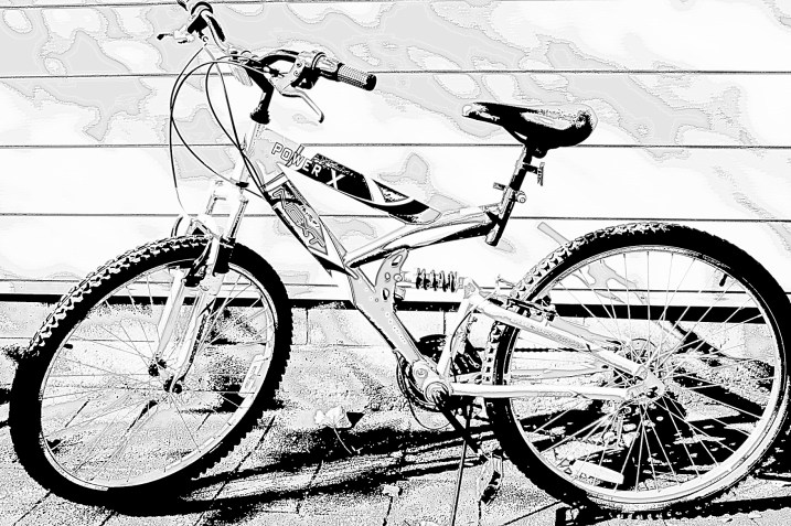  A bike pulled from my garage.