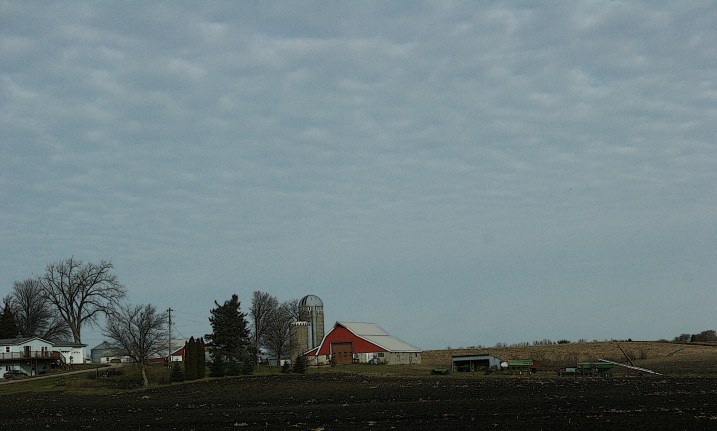 On bald eagle in this shot, or any I took, but simple joys in viewing this rural scene along Rice County Road 12 on the way to church in North Morristown.