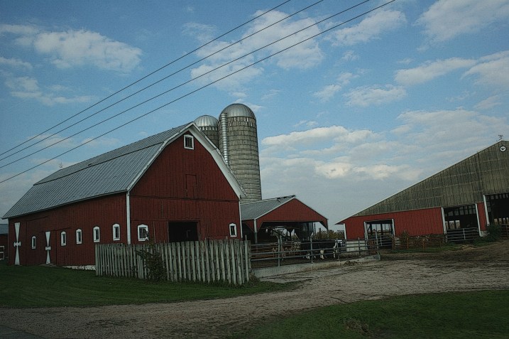 Near Poy Sippi, Wisconsin.