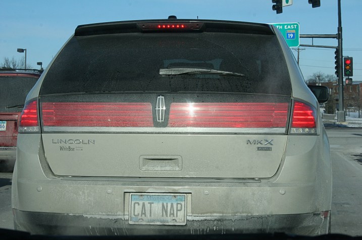 Cat nap license plate