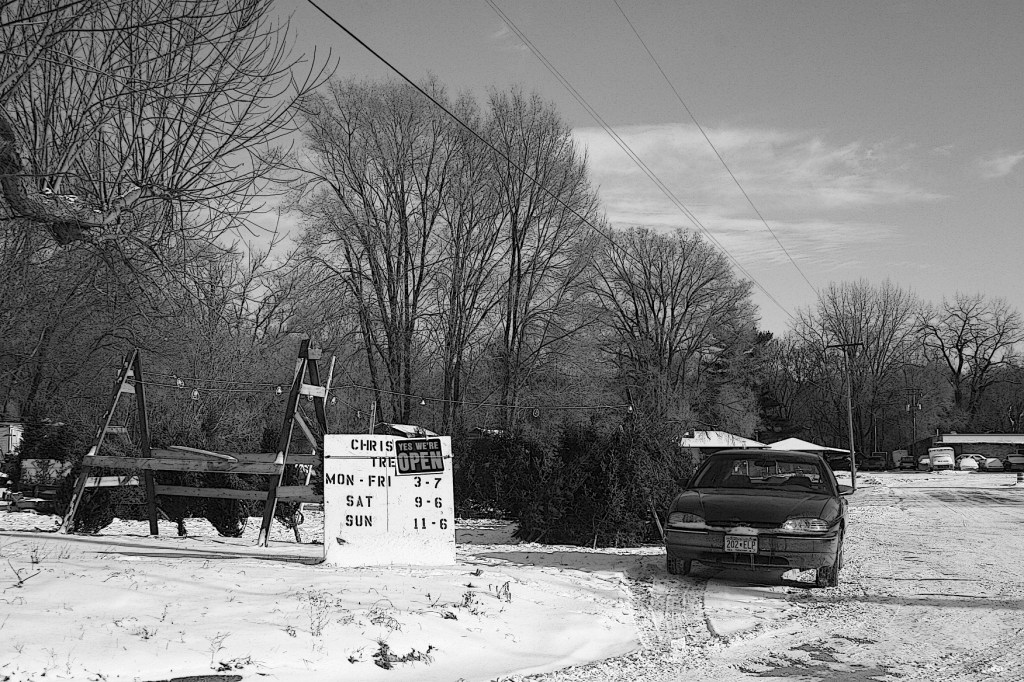 Christmas tree lot in Faribault