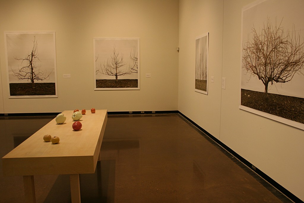 A snippet of Jessica Rath's exhibit shows porcelain apple sculptures and photos of apple trees in the Braucher Gallery.