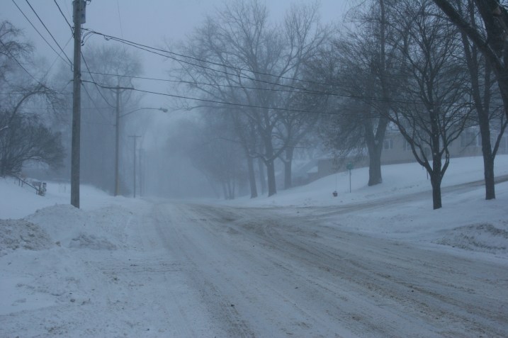 Standing at the end of the driveway, I aimed my lens toward the side street past my corner house.