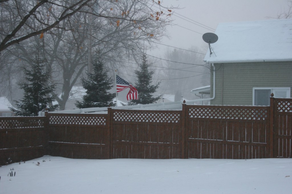 Shot from my back steps looking into my backyard and toward my neighbor's yard to the south.