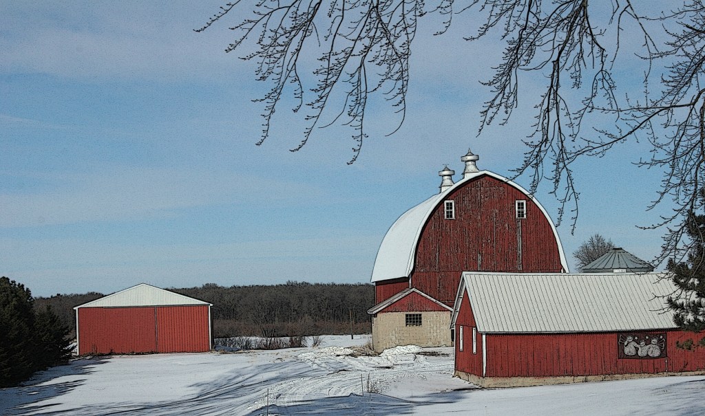 The comfort of memories in a farm yard.
