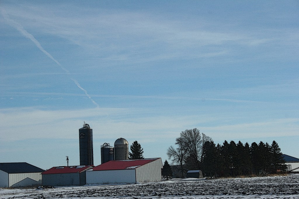 Splashes of red jolt the blue and white landscape.