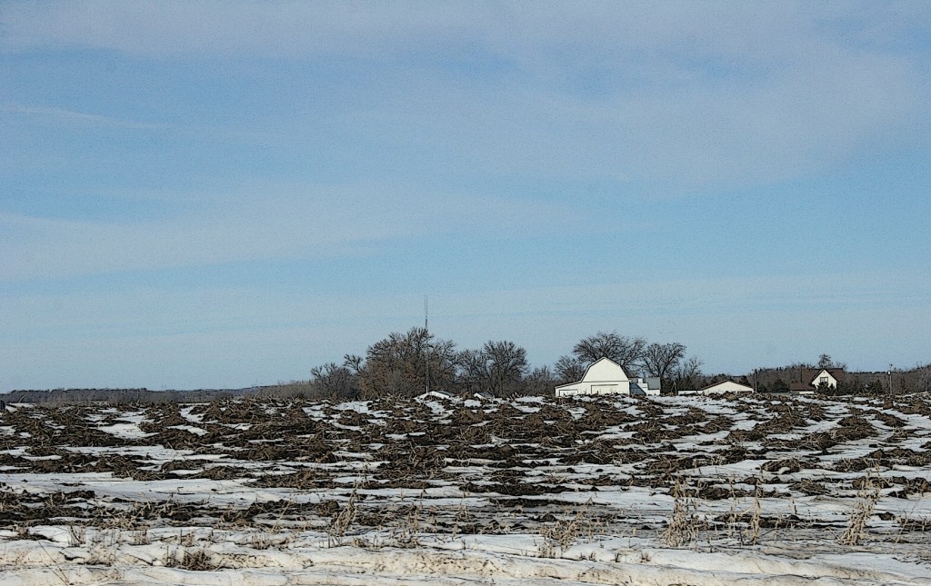 I imagine this field seeded in corn or soybeans.