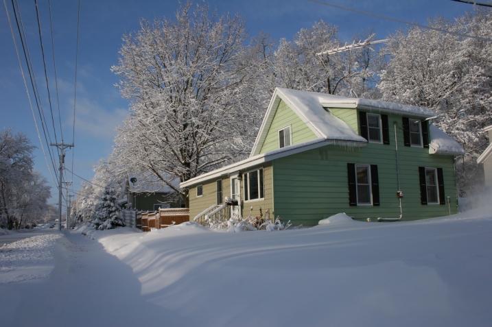 The snow-coated woods behind my house are beautiful this morning.