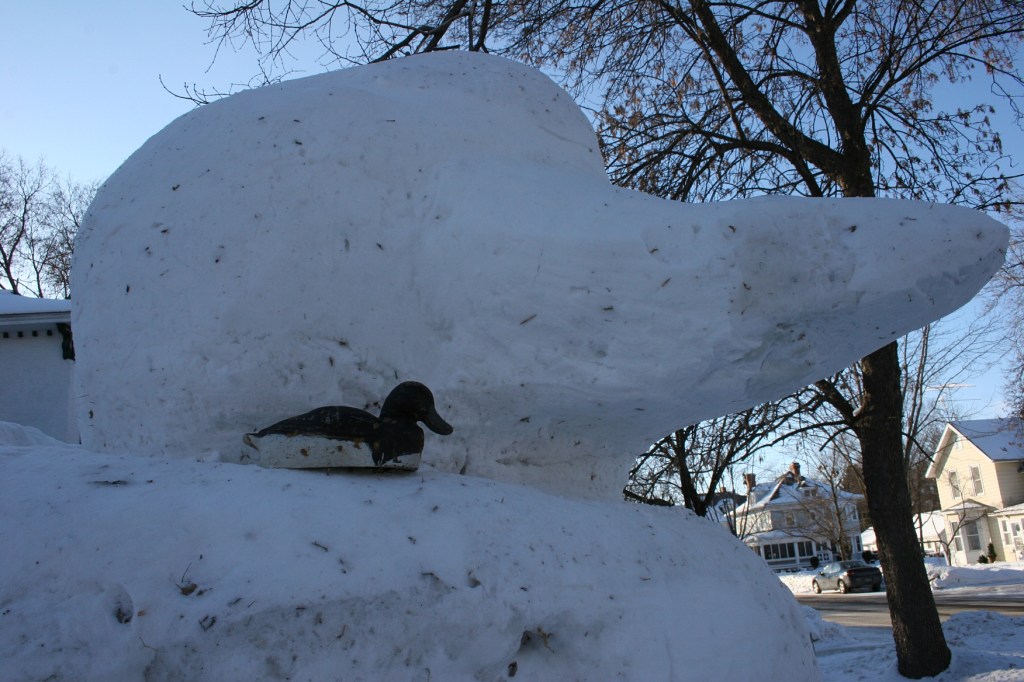 Big duck. Little duck (decoy).