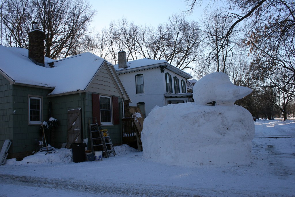 I am not good at judging size. But this is one big duck.