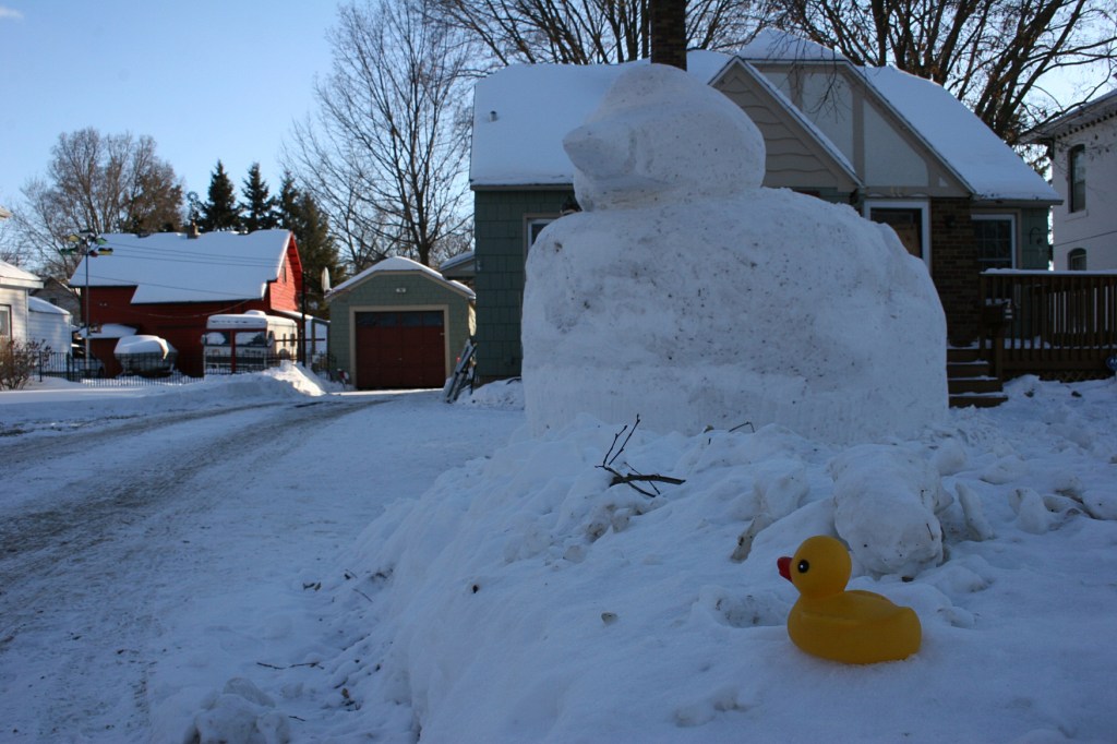 I nearly missed the rubber ducky atop the snow at the end of the driveway as I hurried toward the car.