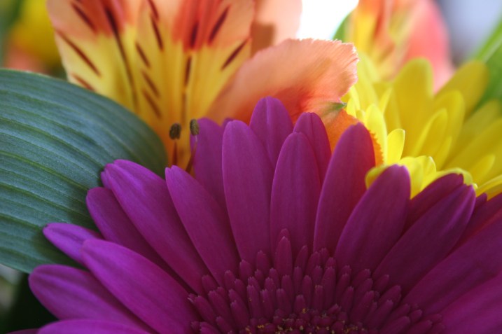 Floral bouquet, really close-up