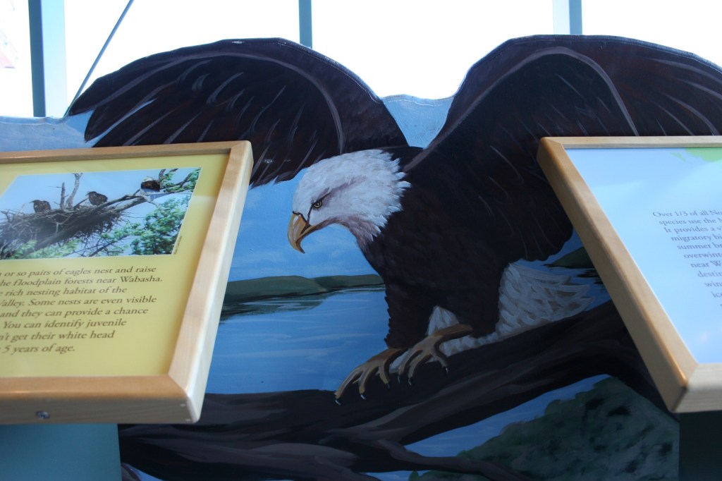 Art, eagle painting