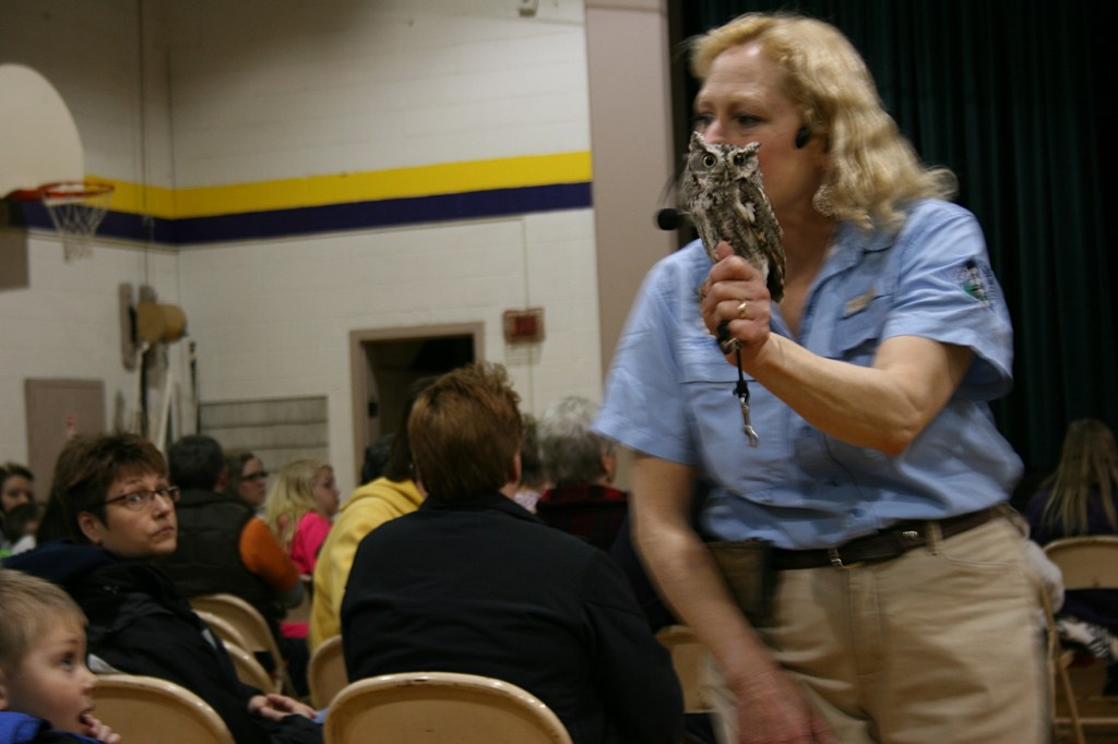 Dale wandered through the audience with the birds, like this owl.