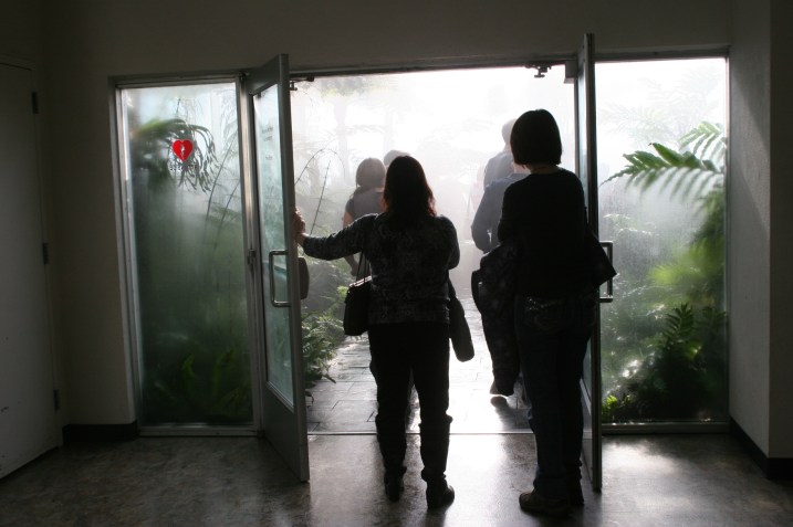 I tucked my Canon inside my camera bag before entering the humid/misty Fern Room.