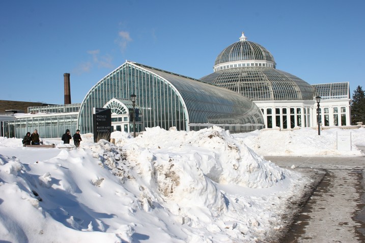 Photographing the Marjorie McNeely Conservatory in the cold Sunday afternoon.