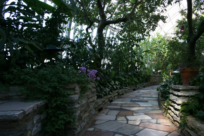 Follow this path through the North Garden.