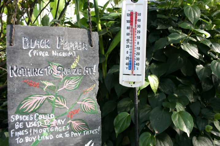 Temps were downright hot inside the Conservatory, the reason I left my coat in the car.