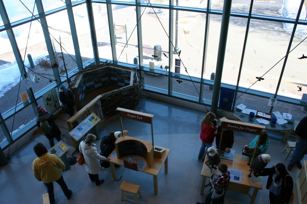 The activity area includes a replica eagle's nest, upper left.